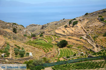 Noord Syros | Griekenland 65 - Foto van https://www.grieksegids.nl/fotos/syros/normaal/noord-syros-065.jpg