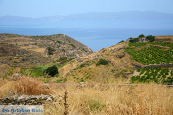 Noord Syros | Griekenland 71 - Foto van https://www.grieksegids.nl/fotos/syros/normaal/noord-syros-071.jpg