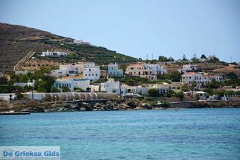 Posidonia | Syros | Griekenland nr 6 - Foto van https://www.grieksegids.nl/fotos/syros/normaal/posidonia-syros-006.jpg