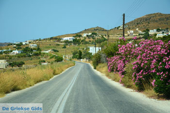 Onderweg van Vari naar Megas Gialos | Griekenland foto 1 - Foto van https://www.grieksegids.nl/fotos/syros/normaal/vari-naar-megas-gialos-syros-001.jpg