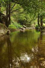 Foto Rodopi Thrakien GriechenlandWeb.de - Foto Region of Eastern Macedonia and Thrace