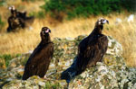 Foto Region of Eastern Macedonia and Thrace