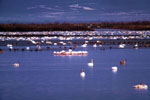 Foto Evros Thrakien GriechenlandWeb.de - Foto Region of Eastern Macedonia and Thrace