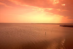 Delta Evros | Griechenland | Foto 4 - Foto Region of Eastern Macedonia and Thrace