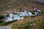 Aetofolia en Kalloni Tinos | Griekenland | Foto 1 - Foto van De Griekse Gids