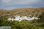 Agapi Tinos | Griekenland 2 - Foto van De Griekse Gids