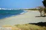 Badplaats Aghios Fokas ten oosten van Tinos stad | Foto 11 - Foto van De Griekse Gids