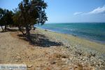 Badplaats Aghios Fokas ten oosten van Tinos stad | Foto 12 - Foto van De Griekse Gids