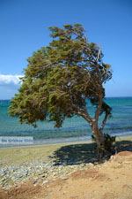 Badplaats Aghios Fokas ten oosten van Tinos stad | Foto 14 - Foto van De Griekse Gids