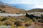  Bij Agios Ioannis Porto | Tinos Griekenland foto 14 - Foto van De Griekse Gids