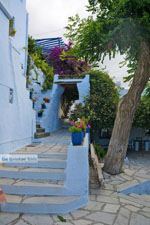 Arnados Tinos | Griekenland | Foto 4 - Foto van De Griekse Gids