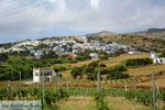Falatados bij Exomvourgo Tinos | Griekenland | Foto 4 - Foto van De Griekse Gids