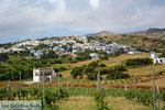 Falatados bij Exomvourgo Tinos | Griekenland | Foto 4 - Foto van De Griekse Gids