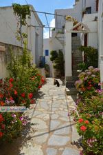 Falatados bij Exomvourgo Tinos | Griekenland | Foto 21 - Foto van De Griekse Gids