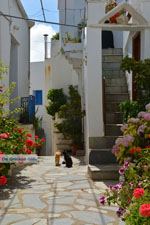 Falatados bij Exomvourgo Tinos | Griekenland | Foto 22 - Foto van De Griekse Gids