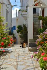 Falatados bij Exomvourgo Tinos | Griekenland | Foto 23 - Foto van De Griekse Gids