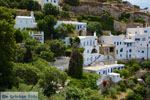 Kardiani Tinos | Griekenland | Foto 16 - Foto van De Griekse Gids