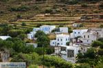 Komi Tinos | Perastra | Griekenland foto 3 - Foto van De Griekse Gids