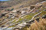 Noordoost Tinos | Griekenland | Foto 8 - Foto van De Griekse Gids