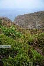 Noordoost Tinos | Griekenland | Foto 12 - Foto van De Griekse Gids