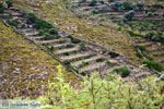 Noordoost Tinos | Griekenland | Foto 20 - Foto van De Griekse Gids