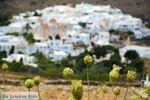 Pyrgos Tinos | Griekenland | Fotto 3 - Foto van De Griekse Gids