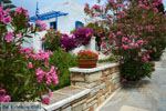 Pyrgos Tinos | Griekenland | Fotto 17 - Foto van De Griekse Gids