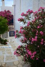 Pyrgos Tinos | Griekenland | Fotto 48 - Foto van De Griekse Gids