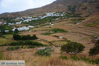 Karkados en Kalloni Tinos | Griekenland | Foto 1 - Foto van https://www.grieksegids.nl/fotos/tinos/normaal/aetofolia-kalloni-tinos-006.jpg