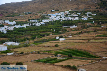Karkados en Kalloni Tinos | Griekenland | Foto 2 - Foto van https://www.grieksegids.nl/fotos/tinos/normaal/aetofolia-kalloni-tinos-007.jpg