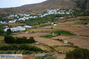 Karkados en Kalloni Tinos | Griekenland | Foto 5 - Foto van https://www.grieksegids.nl/fotos/tinos/normaal/aetofolia-kalloni-tinos-010.jpg