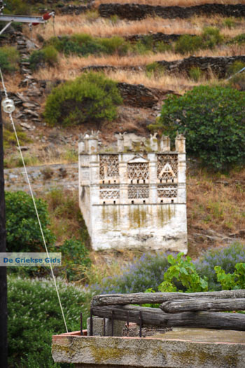Karkados en Kalloni Tinos | Griekenland | Foto 7 - Foto van https://www.grieksegids.nl/fotos/tinos/normaal/aetofolia-kalloni-tinos-012.jpg
