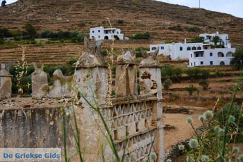 Karkados en Kalloni Tinos | Griekenland | Foto 10 - Foto van https://www.grieksegids.nl/fotos/tinos/normaal/aetofolia-kalloni-tinos-015.jpg