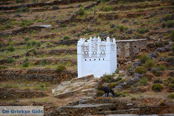 Kalloni Tinos | Griekenland | Foto 1 - Foto van https://www.grieksegids.nl/fotos/tinos/normaal/aetofolia-kalloni-tinos-018.jpg