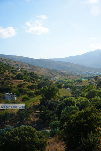 Agapi Tinos | Griekenland 14 - Foto van https://www.grieksegids.nl/fotos/tinos/normaal/agapi-tinos-014.jpg