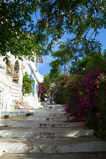 Agapi Tinos | Griekenland 24 - Foto van https://www.grieksegids.nl/fotos/tinos/normaal/agapi-tinos-024.jpg