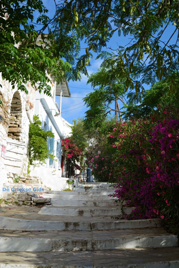 Agapi Tinos | Griekenland 25 - Foto van https://www.grieksegids.nl/fotos/tinos/normaal/agapi-tinos-025.jpg