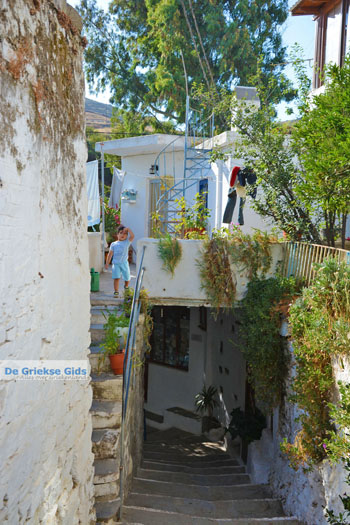 Agapi Tinos | Griekenland 39 - Foto van https://www.grieksegids.nl/fotos/tinos/normaal/agapi-tinos-039.jpg