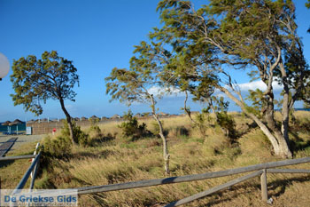Aghios Sostis Tinos | Griekenland foto 37 - Foto van https://www.grieksegids.nl/fotos/tinos/normaal/aghios-sostis-tinos-037.jpg