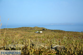 Agios Romanos Tinos | Griekenland | Foto 1 - Foto van https://www.grieksegids.nl/fotos/tinos/normaal/agios-romanos-tinos-001.jpg