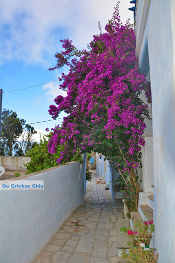 Arnados Tinos | Griekenland | Foto 9 - Foto van https://www.grieksegids.nl/fotos/tinos/normaal/arnados-tinos-009.jpg