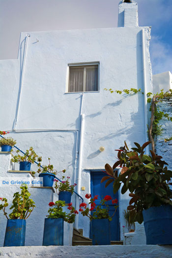 Arnados Tinos | Griekenland | Foto 18 - Foto van https://www.grieksegids.nl/fotos/tinos/normaal/arnados-tinos-018.jpg