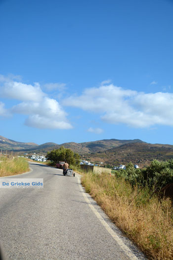 Exomvourgo Tinos | Griekenland | Foto 28 - Foto van https://www.grieksegids.nl/fotos/tinos/normaal/exomvourgo-tinos-028.jpg