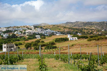 Falatados bij Exomvourgo Tinos | Griekenland | Foto 3 - Foto van https://www.grieksegids.nl/fotos/tinos/normaal/falatados-tinos-003.jpg