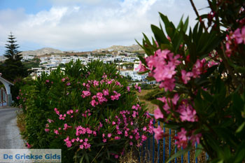 Falatados bij Exomvourgo Tinos | Griekenland | Foto 5 - Foto van https://www.grieksegids.nl/fotos/tinos/normaal/falatados-tinos-005.jpg