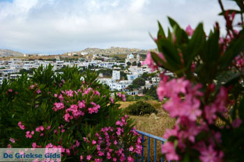 Falatados bij Exomvourgo Tinos | Griekenland | Foto 6 - Foto van https://www.grieksegids.nl/fotos/tinos/normaal/falatados-tinos-006.jpg