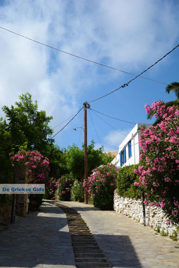 Falatados bij Exomvourgo Tinos | Griekenland | Foto 8 - Foto van https://www.grieksegids.nl/fotos/tinos/normaal/falatados-tinos-008.jpg