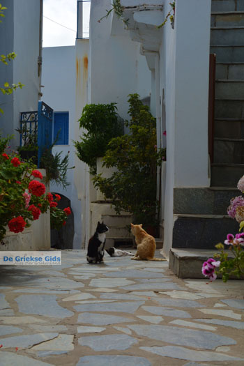 Falatados bij Exomvourgo Tinos | Griekenland | Foto 24 - Foto van https://www.grieksegids.nl/fotos/tinos/normaal/falatados-tinos-024.jpg