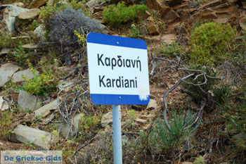 Kardiani Tinos | Griekenland | Foto 1 - Foto van https://www.grieksegids.nl/fotos/tinos/normaal/kardiani-tinos-001.jpg