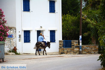 Komi Tinos | Griekenland | Foto 2 - Foto van https://www.grieksegids.nl/fotos/tinos/normaal/komi-tinos-002.jpg